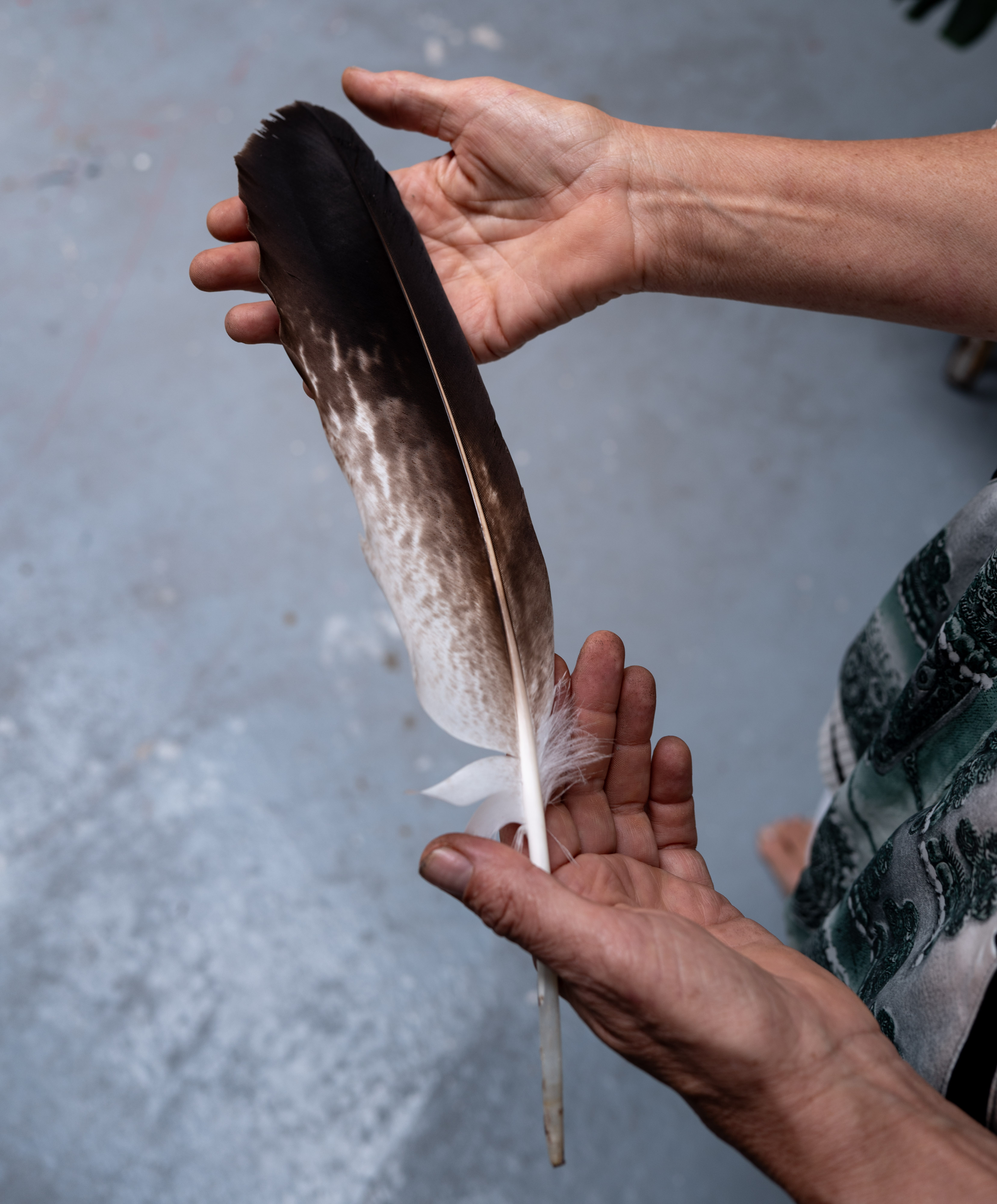 Feather detail